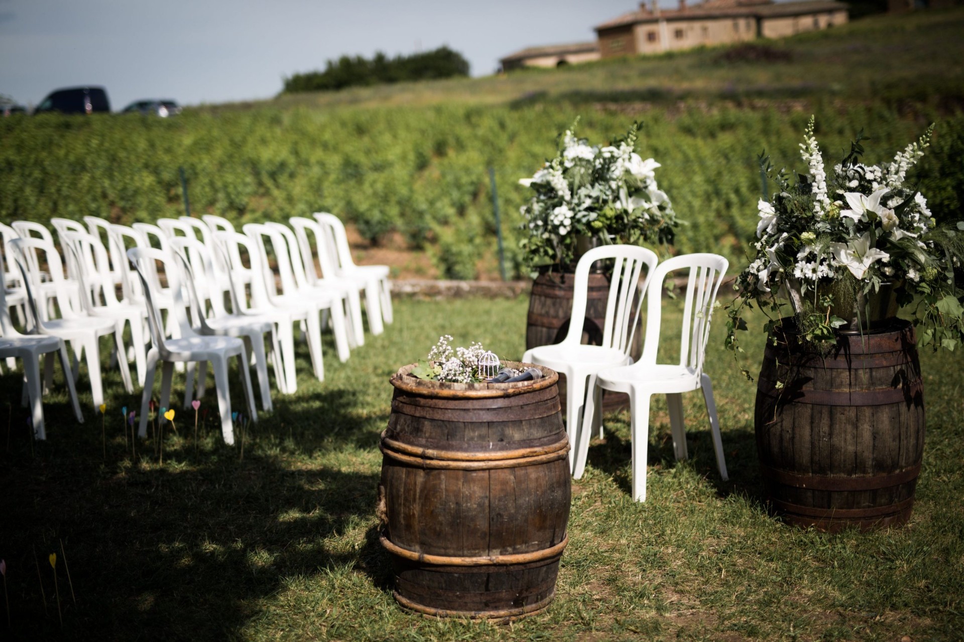 Cérémonie en plein air face aux vignes